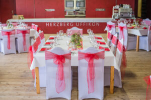 Hochzeitsfest Herzberg Uffikon Luzern Hochzeitsfotograf Luzern