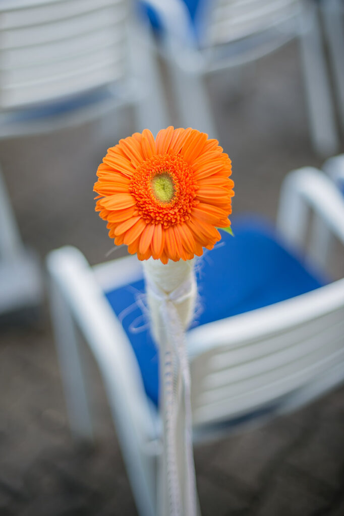 Trauung Hof Landschi Küssnacht Hochzeitsapero Hof Landschi Küssnacht Hochzeitsfest Hof Landschi Küssnacht Hochzeitsfotograf Schwyz Hochzeitsfotograf Zentralschweiz