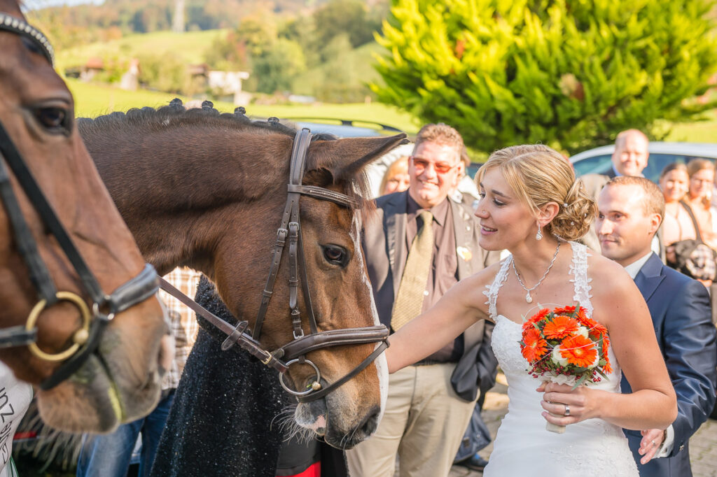 Trauung Hof Landschi Küssnacht Hochzeitsapero Hof Landschi Küssnacht Hochzeitsfest Hof Landschi Küssnacht Hochzeitsfotograf Schwyz Hochzeitsfotograf Zentralschweiz