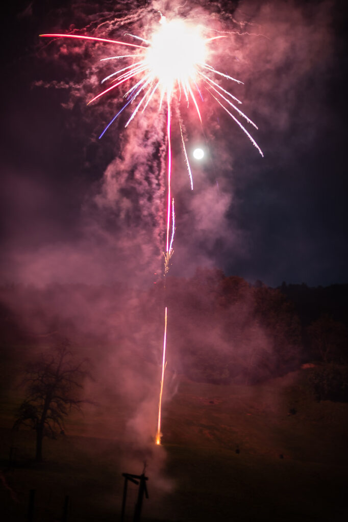 Trauung Hof Landschi Küssnacht Hochzeitsapero Hof Landschi Küssnacht Hochzeitsfest Hof Landschi Küssnacht Hochzeitsfotograf Schwyz Hochzeitsfotograf Zentralschweiz