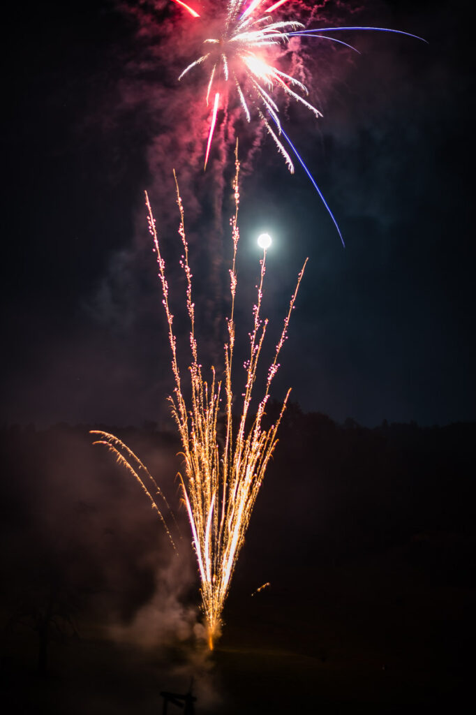 Trauung Hof Landschi Küssnacht Hochzeitsapero Hof Landschi Küssnacht Hochzeitsfest Hof Landschi Küssnacht Hochzeitsfotograf Schwyz Hochzeitsfotograf Zentralschweiz