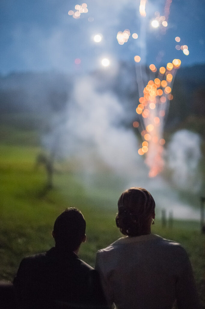 Trauung Hof Landschi Küssnacht Hochzeitsapero Hof Landschi Küssnacht Hochzeitsfest Hof Landschi Küssnacht Hochzeitsfotograf Schwyz Hochzeitsfotograf Zentralschweiz