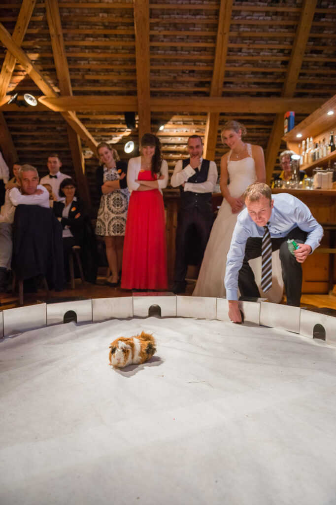 Trauung Hof Landschi Küssnacht Hochzeitsapero Hof Landschi Küssnacht Hochzeitsfest Hof Landschi Küssnacht Hochzeitsfotograf Schwyz Hochzeitsfotograf Zentralschweiz