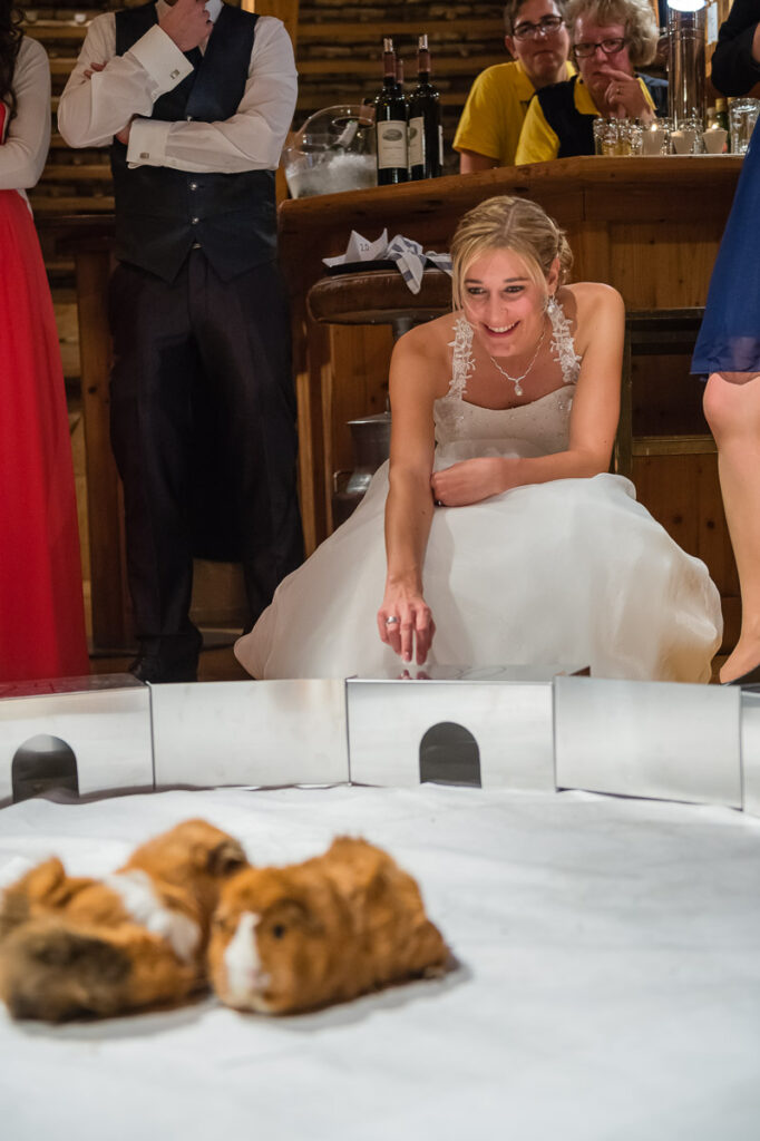 Trauung Hof Landschi Küssnacht Hochzeitsapero Hof Landschi Küssnacht Hochzeitsfest Hof Landschi Küssnacht Hochzeitsfotograf Schwyz Hochzeitsfotograf Zentralschweiz