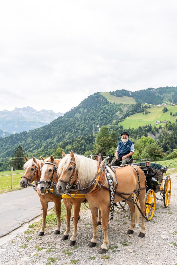 Standesamtliche Hochzeit in Stansstad Hochzeitsshooting im Aawasseregg in Buochs und kirchliche Trauung in St Jost Kapelle in Ennetbürgen