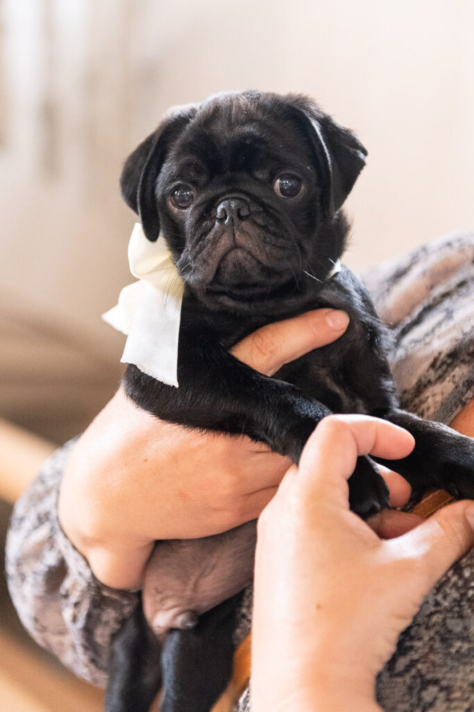 Hochzeit in der Kappelle Sankt NIklausen in Obwalden Hochzeitsfest im Wilerbädli in Wilen Obwalden Hochzeitsfotograf Obwalden
